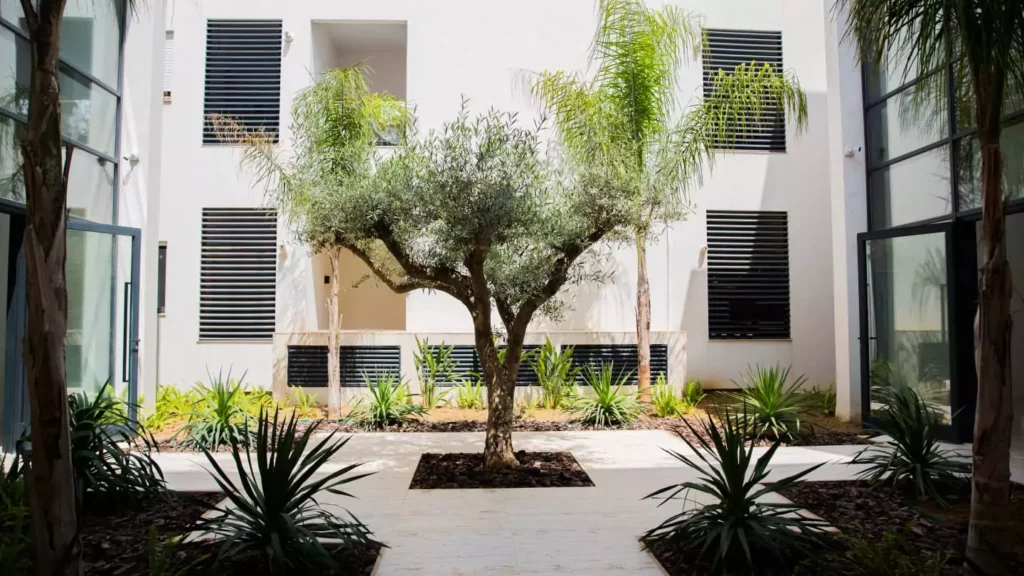 Jade Le Coin Bleu Immobilier