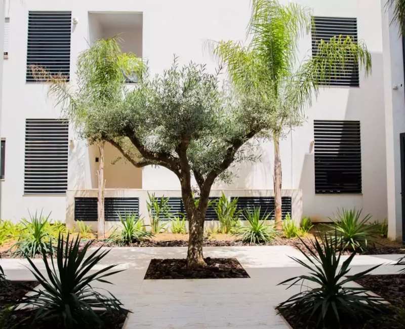 Jade Le Coin Bleu Immobilier